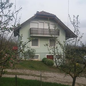 Egervari Beres Vendeghaz-Tetoteri Apartman Exterior photo