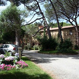 Villa Bolgherello Marina Di Bibbona Exterior photo
