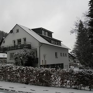 Ferienwohnung Haus Kloosterman Winterberg Exterior photo
