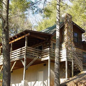 Deer Run - Secluded Natural Wooded Setting - Near Boone, Nc Villa Purlear Exterior photo