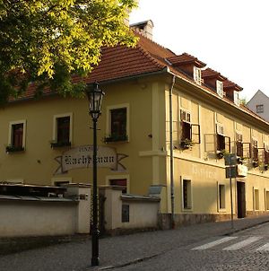 Penzión Kachelman Banská Štiavnica Exterior photo