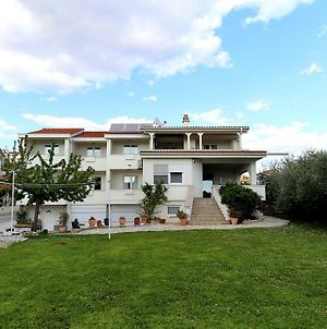 Villa Micic Zára Exterior photo