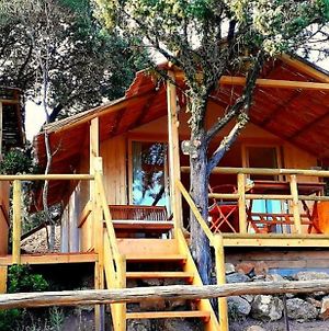 Stazzu La Capretta Farm Camping & Guest Rooms Olbia Exterior photo