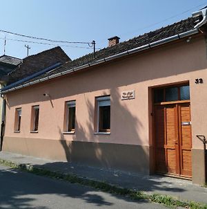 Kis Rigó vendégház Salgótarján Exterior photo
