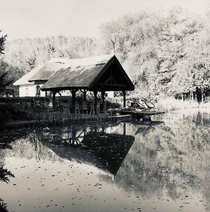 Zarah Tanya With A Private Lake And Forest Villa Cserkeszőlő Exterior photo